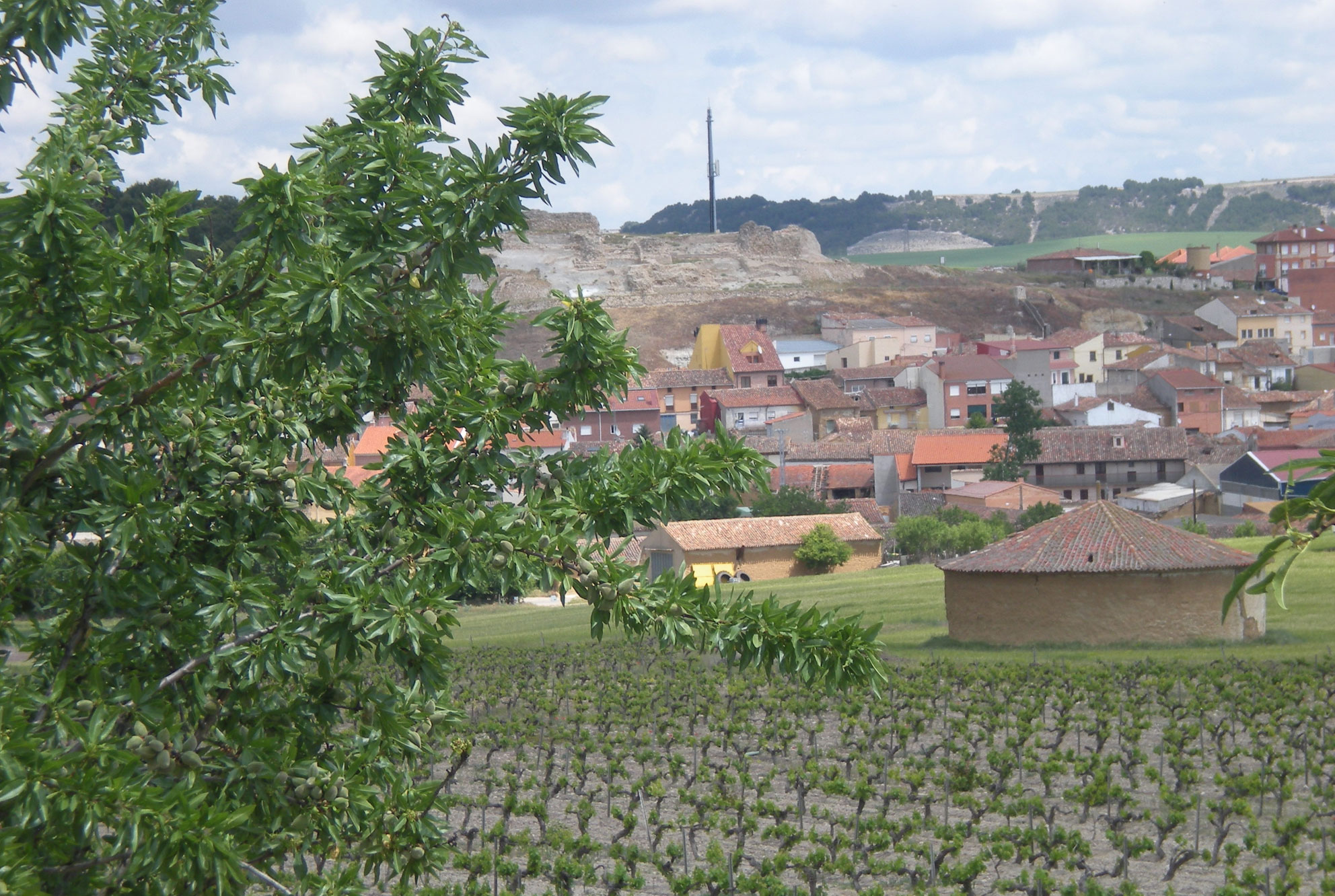 Rutas en bicicleta entre viñedos y campos de cereal en Valladolid