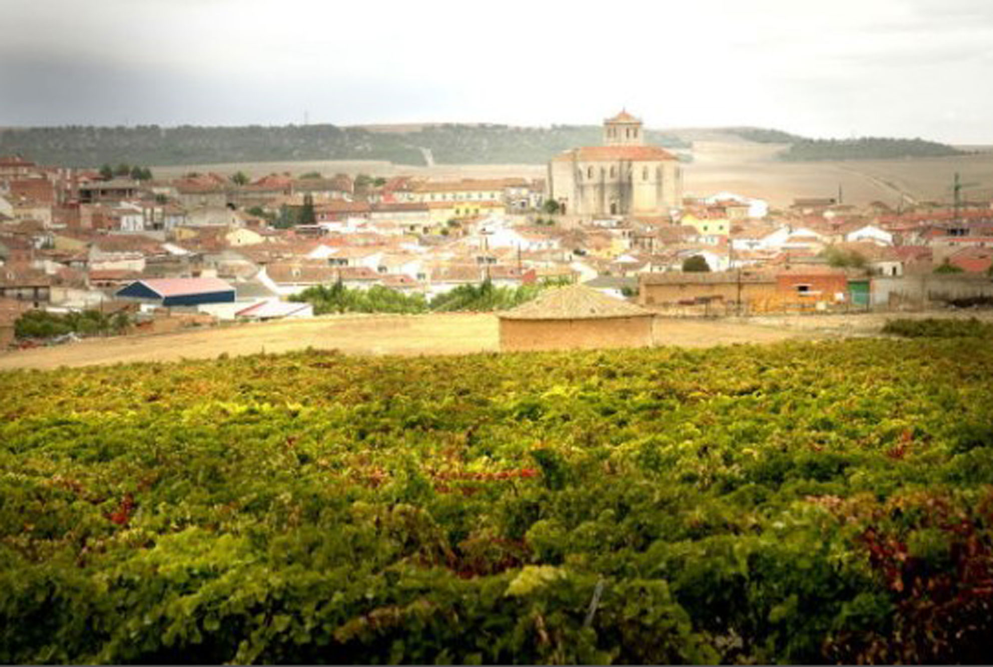 Turismo cultural en Valladolid - patrimonio y museos a 15 minutos